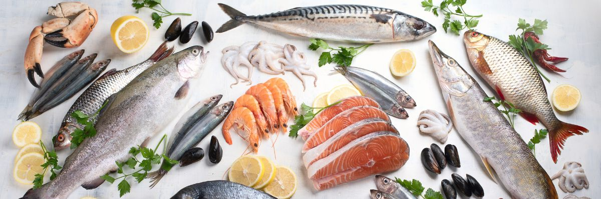 Coltello giapponese speciale per pesce ad alta gamma 