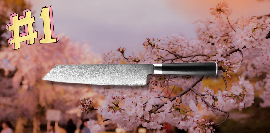 Il miglior coltello da cucina giapponese Kaitsuko