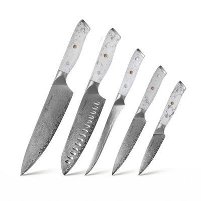 Set de 5 couteaux japonais Yakumoto manche blanc